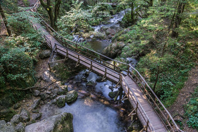 Footbridge over river in forest
