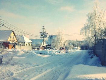 Snow covered trees against sky