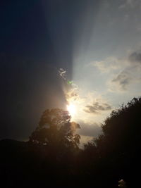 Low angle view of silhouette trees against sky during sunset