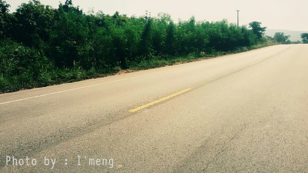 transportation, the way forward, road, tree, road marking, diminishing perspective, vanishing point, street, asphalt, country road, empty road, empty, clear sky, long, sky, day, outdoors, no people, growth, nature