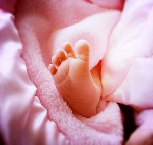 Low section of baby feet