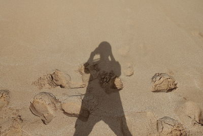 Shadow of person at beach