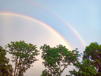 Low angle view of rainbow against sky