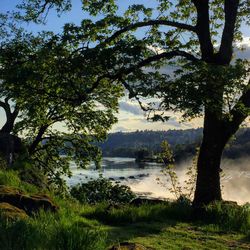 Scenic view of lake by trees against sky