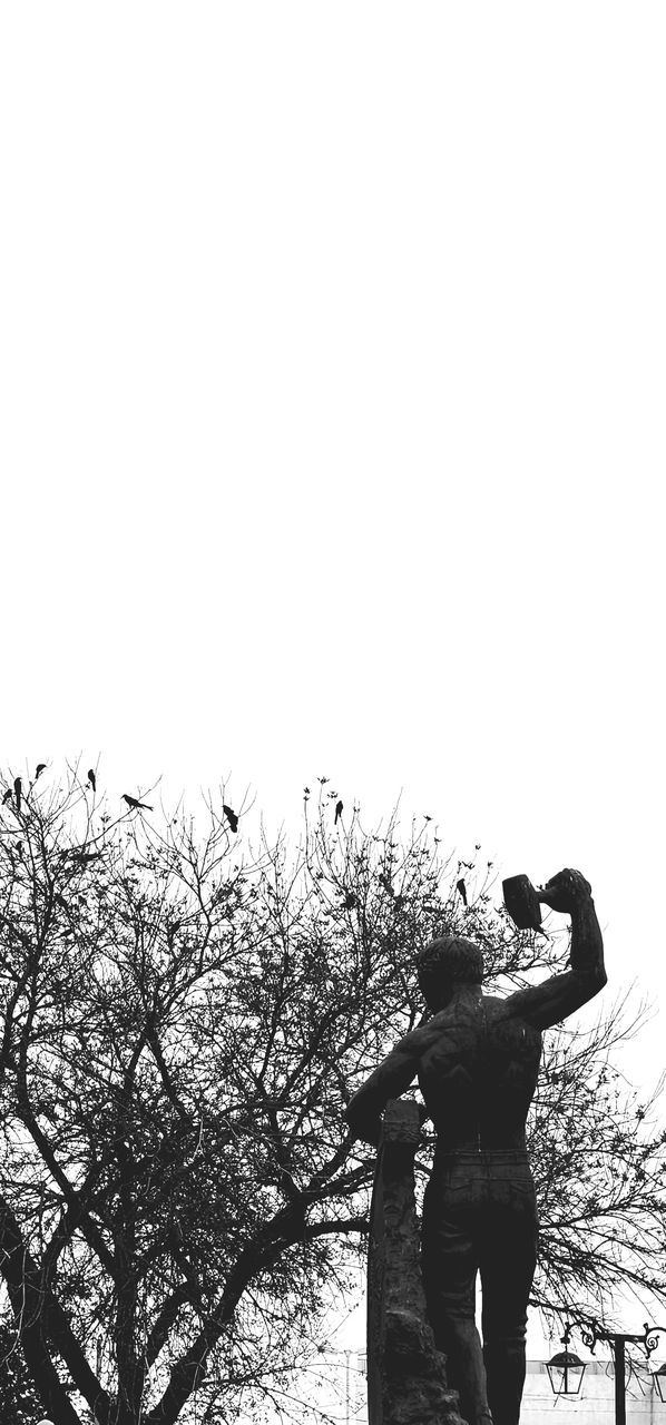 black and white, one person, sky, nature, monochrome photography, copy space, tree, day, plant, standing, clear sky, lifestyles, leisure activity, adult, men, monochrome, outdoors, silhouette, full length, person, women