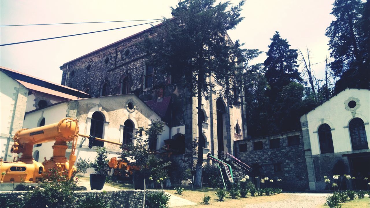 building exterior, architecture, built structure, tree, religion, place of worship, church, spirituality, low angle view, city, clear sky, building, sunlight, facade, outdoors, incidental people, day, residential building