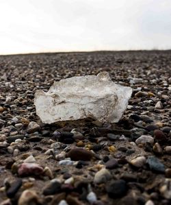 Close-up of pebbles on beach against sky