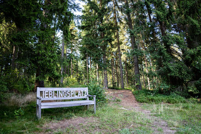 Empty bench in forest