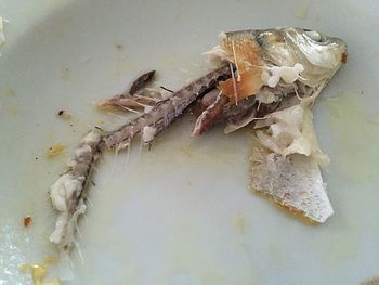 Close-up of food on table