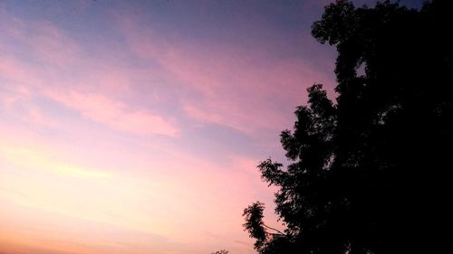 Low angle view of silhouette trees against sky at sunset