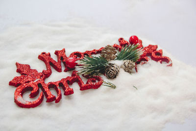 Close-up of red roses against white background