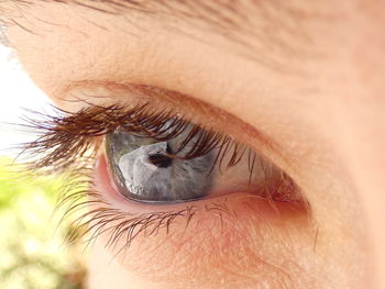 Close-up of human eye