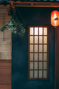 Potted plant on table against window of building