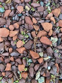 High angle view of stones on land