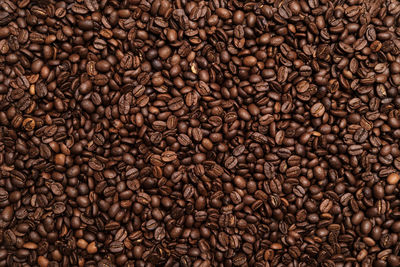 Full frame shot of coffee beans