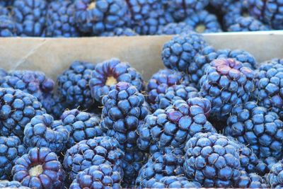 Close-up of blackberries for sale at market stall