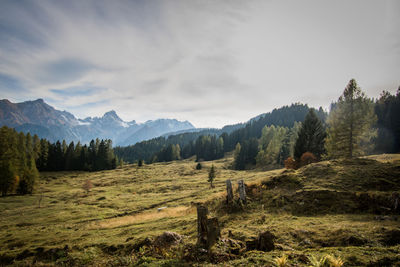 Scenic view of landscape against sky