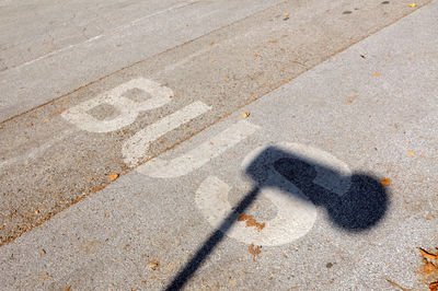 A bus lane marking on the street, public transport and road traffic