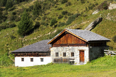 Houses on grassy field