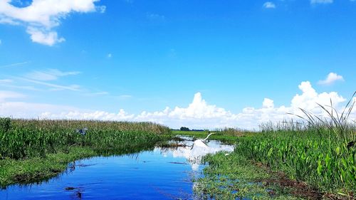 Scenic view of green landscape against blue sky