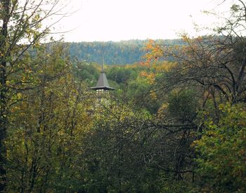 Trees in field during autumn