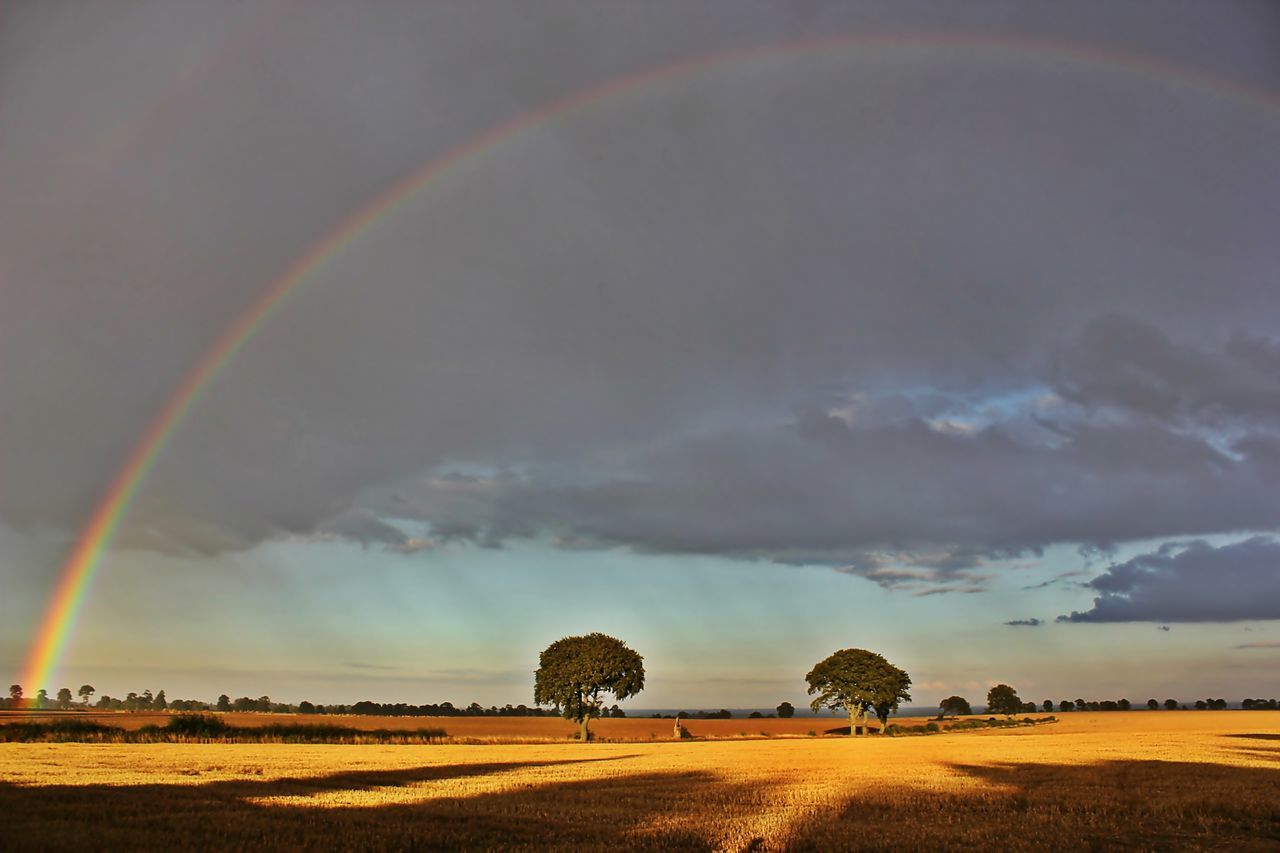 landscape, sky, tranquil scene, field, tranquility, scenics, beauty in nature, cloud - sky, rural scene, nature, agriculture, sunset, cloudy, cloud, idyllic, horizon over land, dramatic sky, tree, farm, overcast