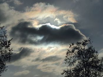 Low angle view of tree against cloudy sky