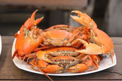 Close-up of seafood in plate