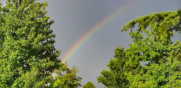 Low angle view of rainbow against sky