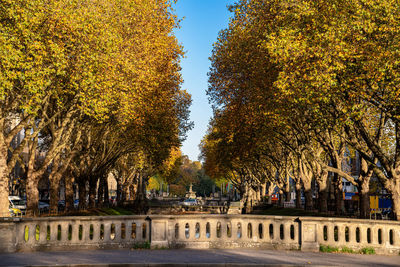 Trees by canal in city against clear sky