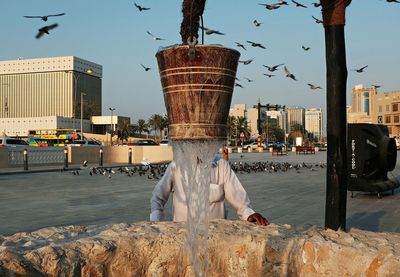 View of birds in water