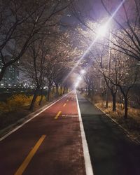 Road amidst trees against bright sun