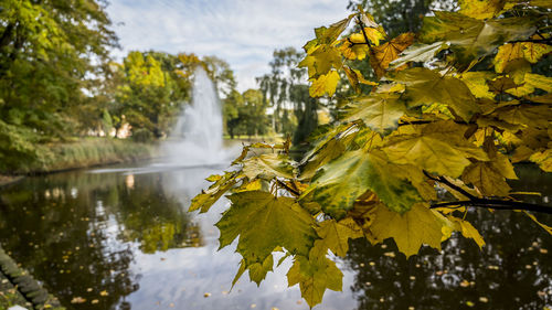 Scenic view of fountain