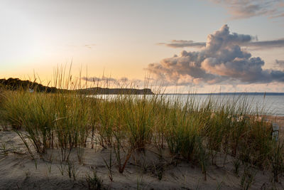 Scenic view of sea against sky during sunset