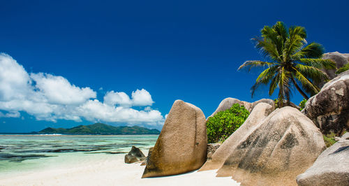 Beautiful tropical beach with palm trees and moody sky. beach scene and summer holiday concept. 