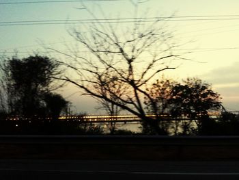 Bare trees against sky at sunset