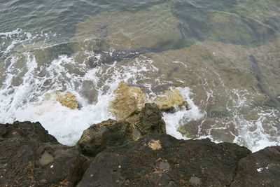 High angle view of sea shore