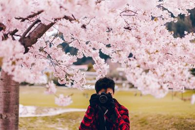 Full length of woman standing on pink cherry blossom