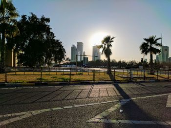 Trees in city against clear sky