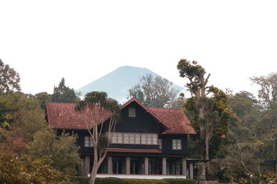 Houses and trees against sky