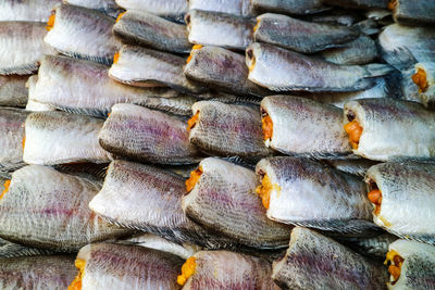 Full frame shot of fish for sale at market