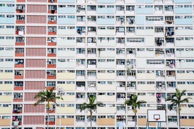 Palm trees against residential building