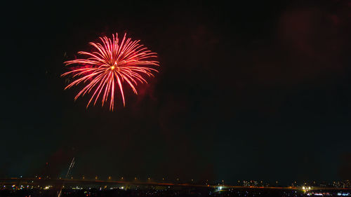 Low angle view of firework display at night