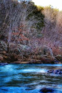 Scenic view of river with trees in background