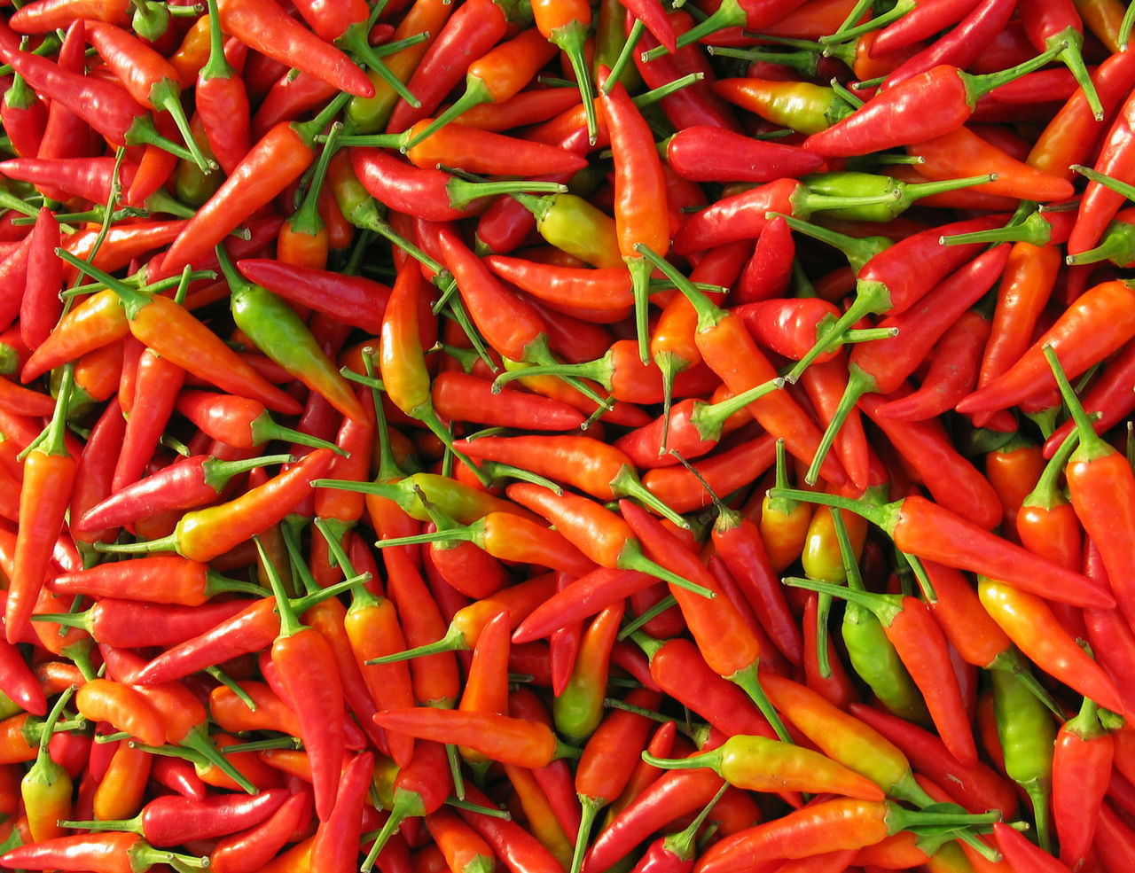 FULL FRAME SHOT OF RED CHILI PEPPERS FOR SALE IN MARKET