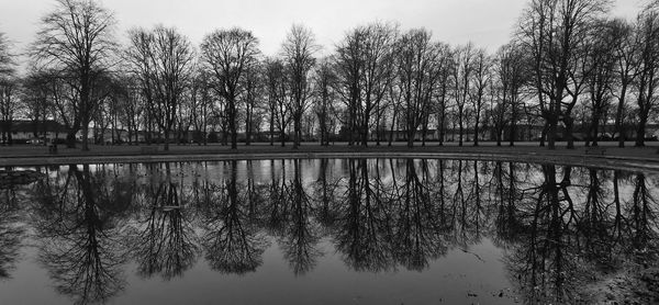 Bare trees by lake against sky