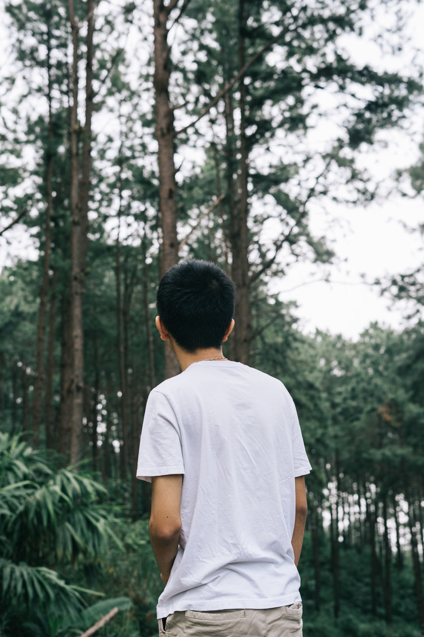 REAR VIEW OF MAN STANDING BY TREE IN FOREST