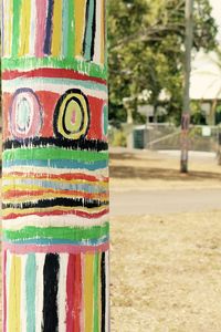 Close-up of multi colored tree