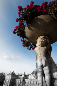 Low angle view of flowers against sky