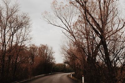 Road amidst bare trees against sky